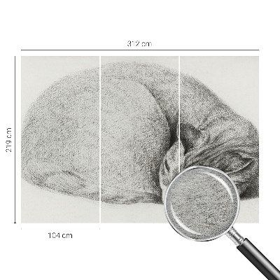 Papel de parede Gato enrolado