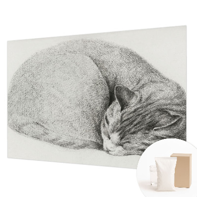 Papel de parede Gato enrolado