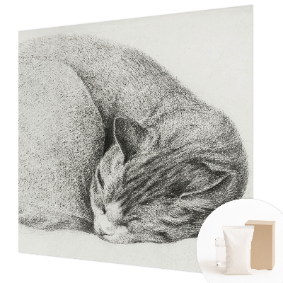 Papel de parede Gato enrolado