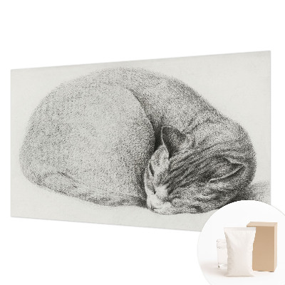 Papel de parede Gato enrolado