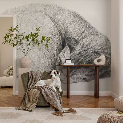 Papel de parede Gato enrolado