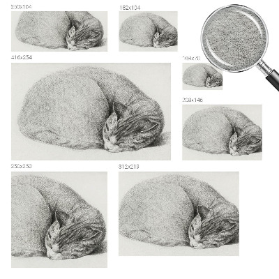 Papel de parede Gato enrolado