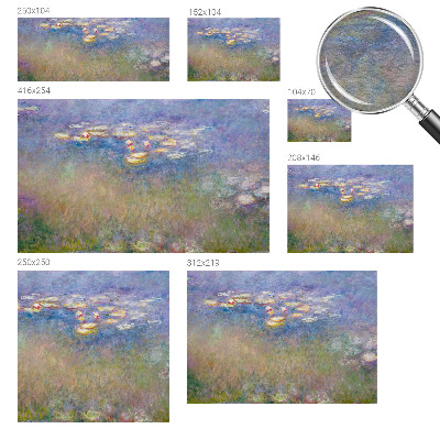 Fotomural Lírios de água