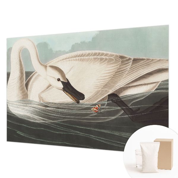 Papel de parede para sala Harmonia da natureza