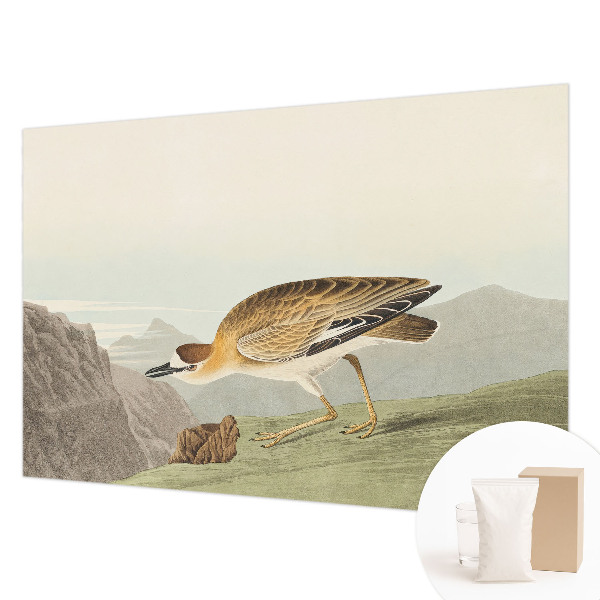 Papel de parede decorativo Pássaro da montanha
