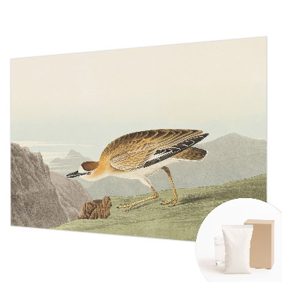 Papel de parede decorativo Pássaro da montanha