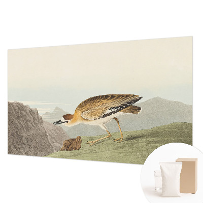 Papel de parede decorativo Pássaro da montanha