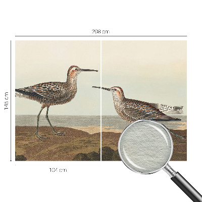 Mural fotográfico Silhuetas de pássaros