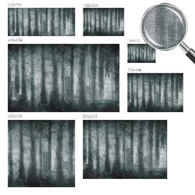 Papel de parede fotográfico Floresta misteriosa