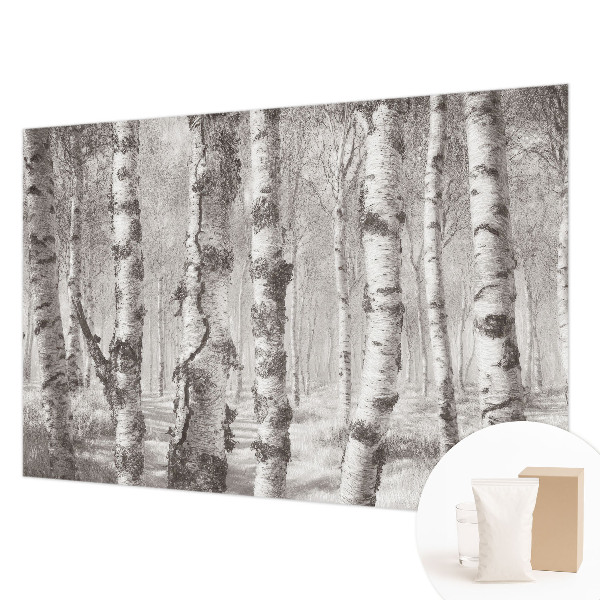 Papel de parede decorativo Floresta de bétulas