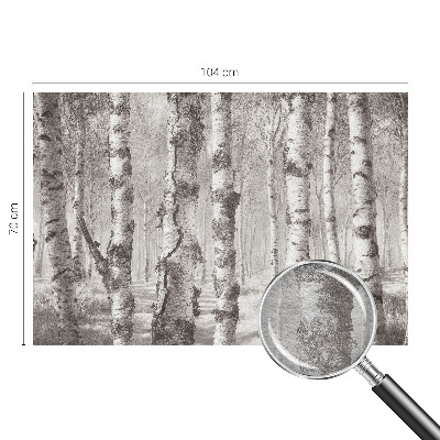 Papel de parede decorativo Floresta de bétulas