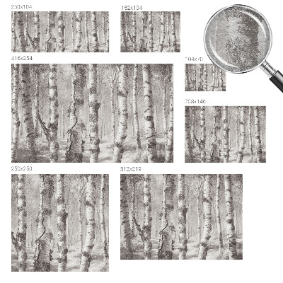 Papel de parede decorativo Floresta de bétulas