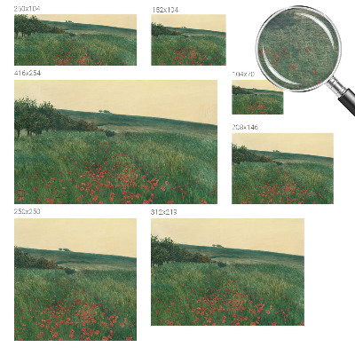 Papel de parede fotográfico Campos de papoulas