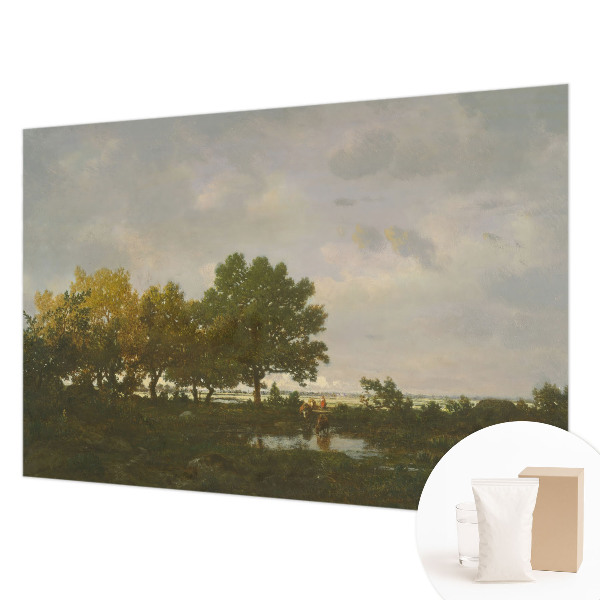 Papel de parede para quarto Paisagem florestal