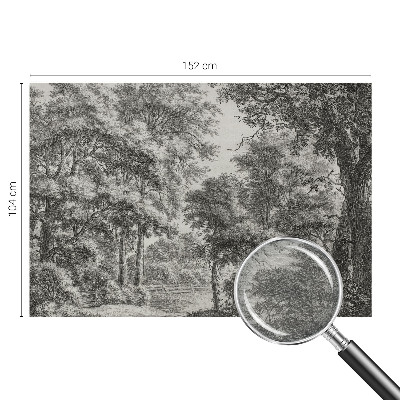Mural de fotos na parede Paisagem florestal