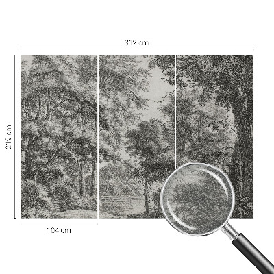 Mural de fotos na parede Paisagem florestal