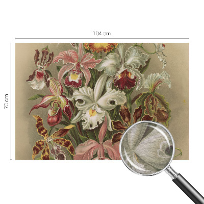 Mural fotográfico Elegância floral