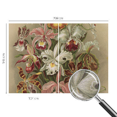 Mural fotográfico Elegância floral