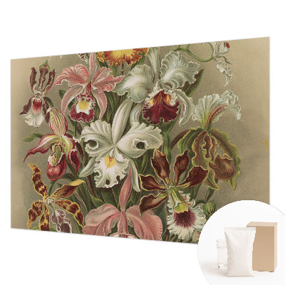 Mural fotográfico Elegância floral