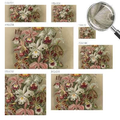 Mural fotográfico Elegância floral