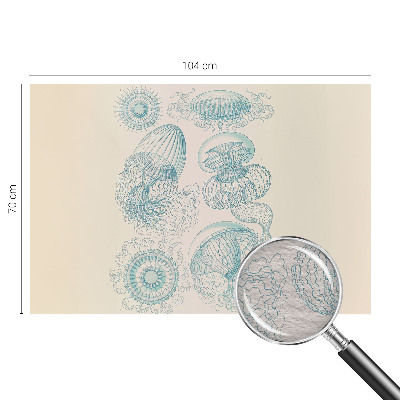 Papel de parede medusa marinha