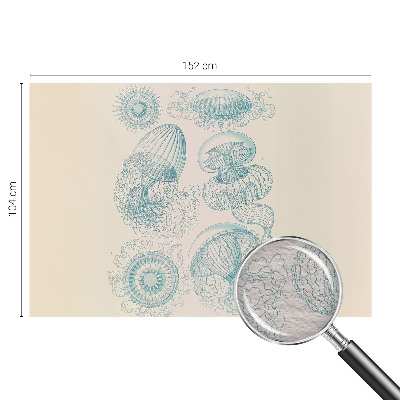 Papel de parede medusa marinha