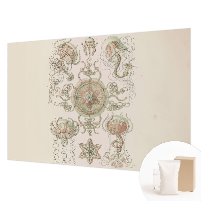 Mural de parede Mundo subaquático