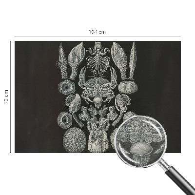 Fotomural Formas subaquáticas