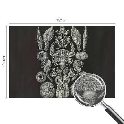 Fotomural Formas subaquáticas