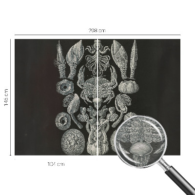 Fotomural Formas subaquáticas