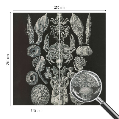 Fotomural Formas subaquáticas