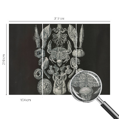 Fotomural Formas subaquáticas