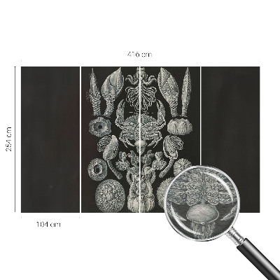 Fotomural Formas subaquáticas