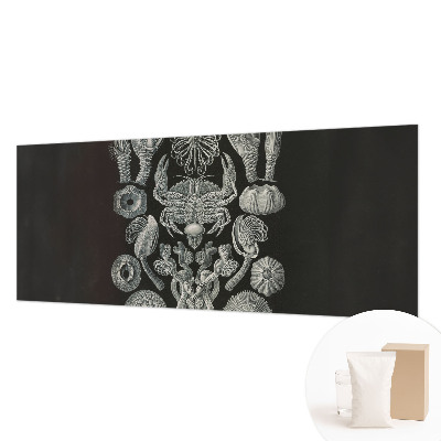 Fotomural Formas subaquáticas