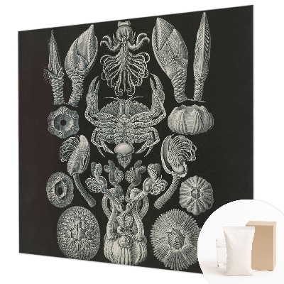 Fotomural Formas subaquáticas