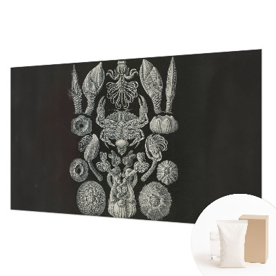 Fotomural Formas subaquáticas