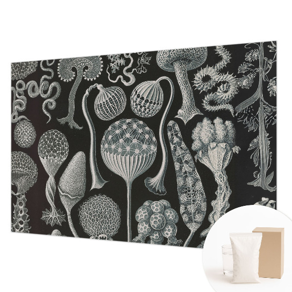 Papel de parede fotográfico Plantas mágicas