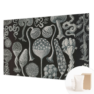 Papel de parede fotográfico Plantas mágicas