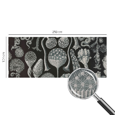 Papel de parede fotográfico Plantas mágicas