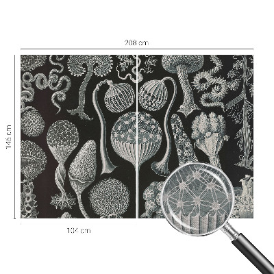 Papel de parede fotográfico Plantas mágicas