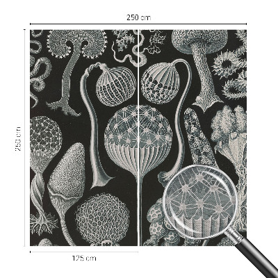 Papel de parede fotográfico Plantas mágicas