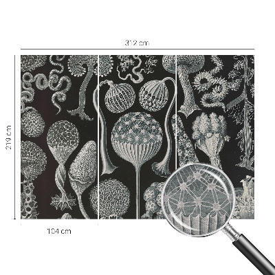 Papel de parede fotográfico Plantas mágicas