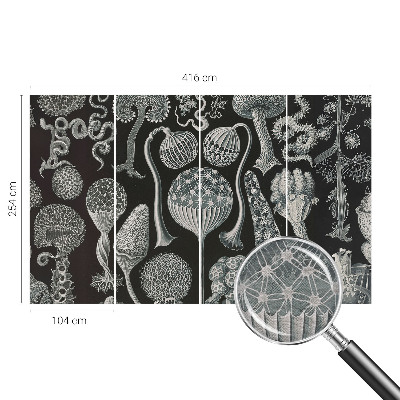 Papel de parede fotográfico Plantas mágicas