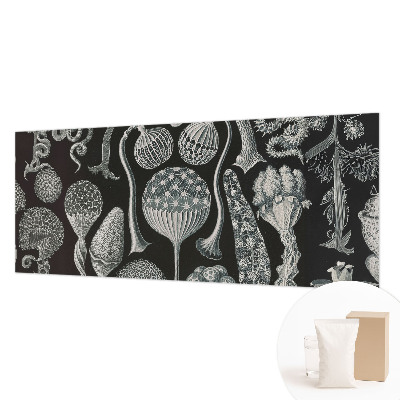 Papel de parede fotográfico Plantas mágicas