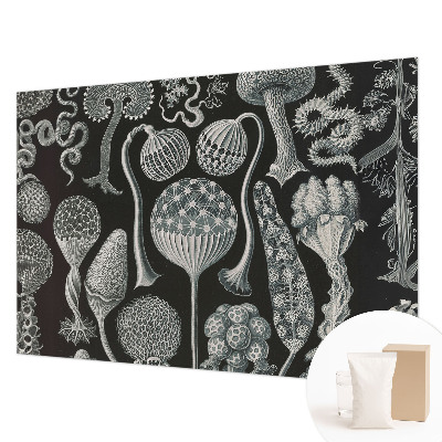 Papel de parede fotográfico Plantas mágicas