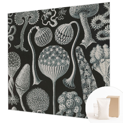 Papel de parede fotográfico Plantas mágicas