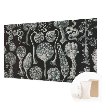 Papel de parede fotográfico Plantas mágicas