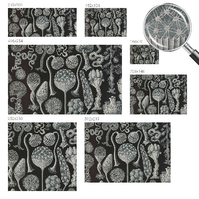 Papel de parede fotográfico Plantas mágicas