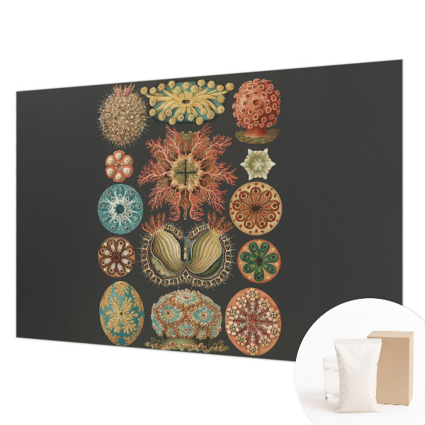 Mural de parede Inspirações marítimas