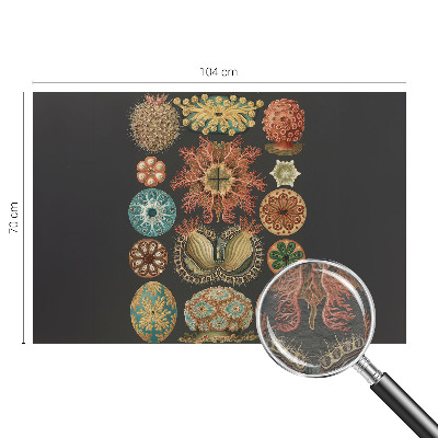 Mural de parede Inspirações marítimas